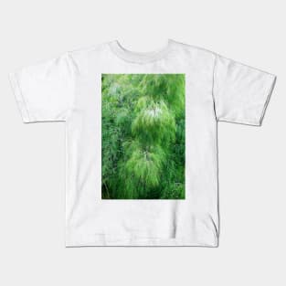 Lavender Farms Study 17 Kids T-Shirt